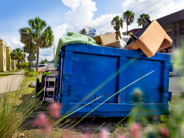 Best Local Junk Hauling  in Greenville, NC